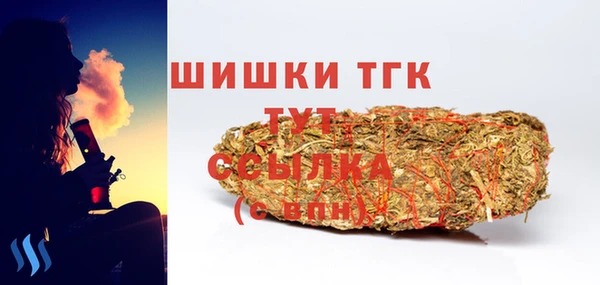 гашик Горнозаводск