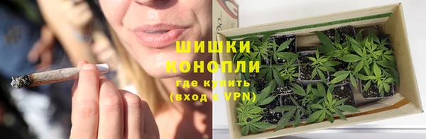 амф Горняк