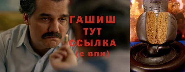 амф Горняк