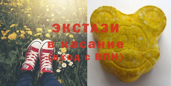 амф Горняк