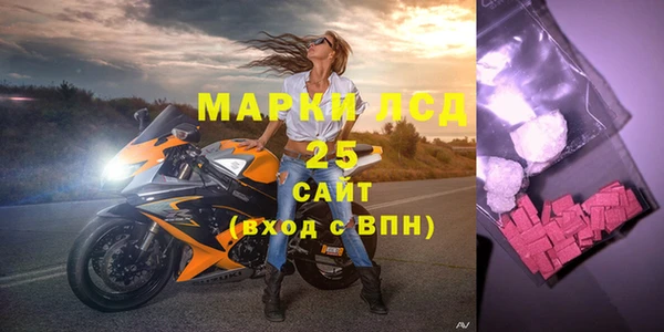 амф Горняк