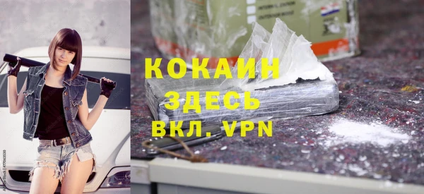 амф Горняк