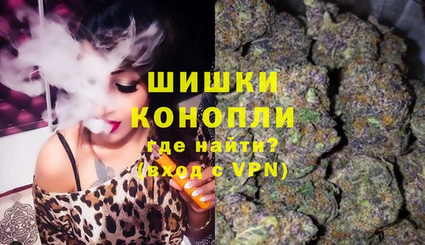 амф Горняк